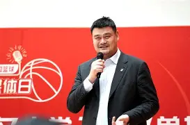 关于徐济成不再担任CBA公司董事长篮协副主席杨阳接任的信息