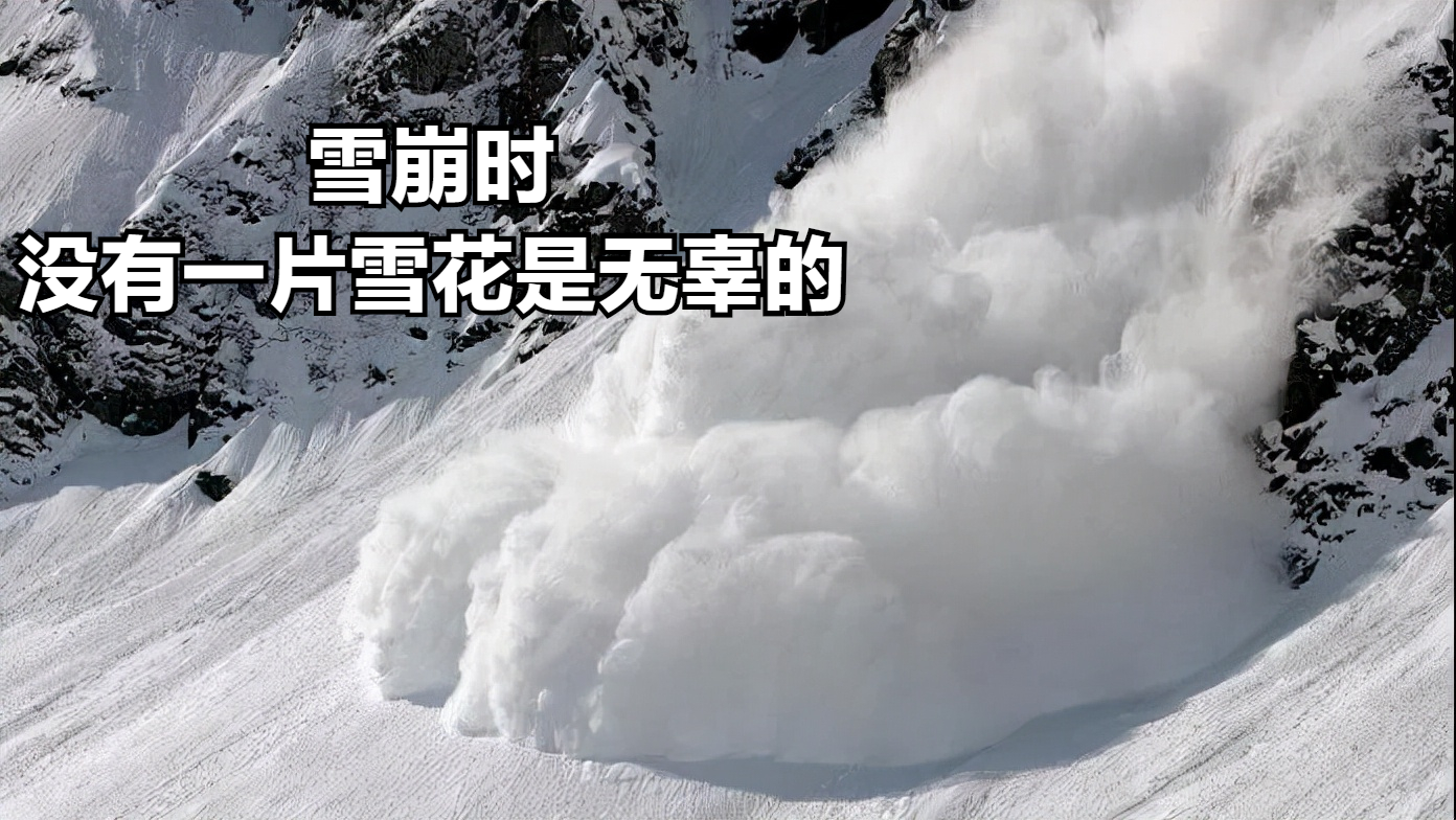 wei有没有可能真的是无辜的