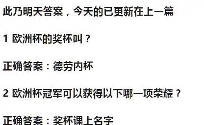 奖杯杯身刻有13种语言和盲文，体现包容性精神的简单介绍